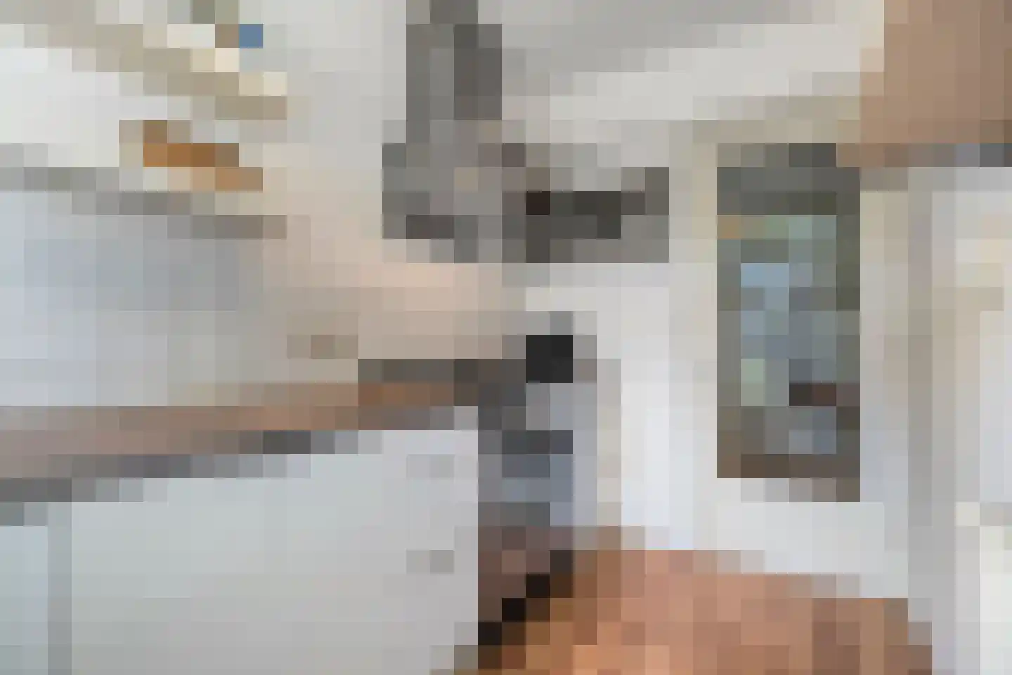 Schutkenstraat 51 Zwolle thumbnail 28