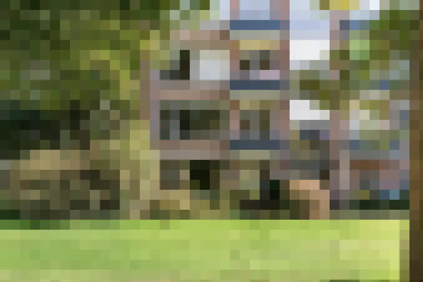 Schutkenstraat 51 Zwolle thumbnail 30
