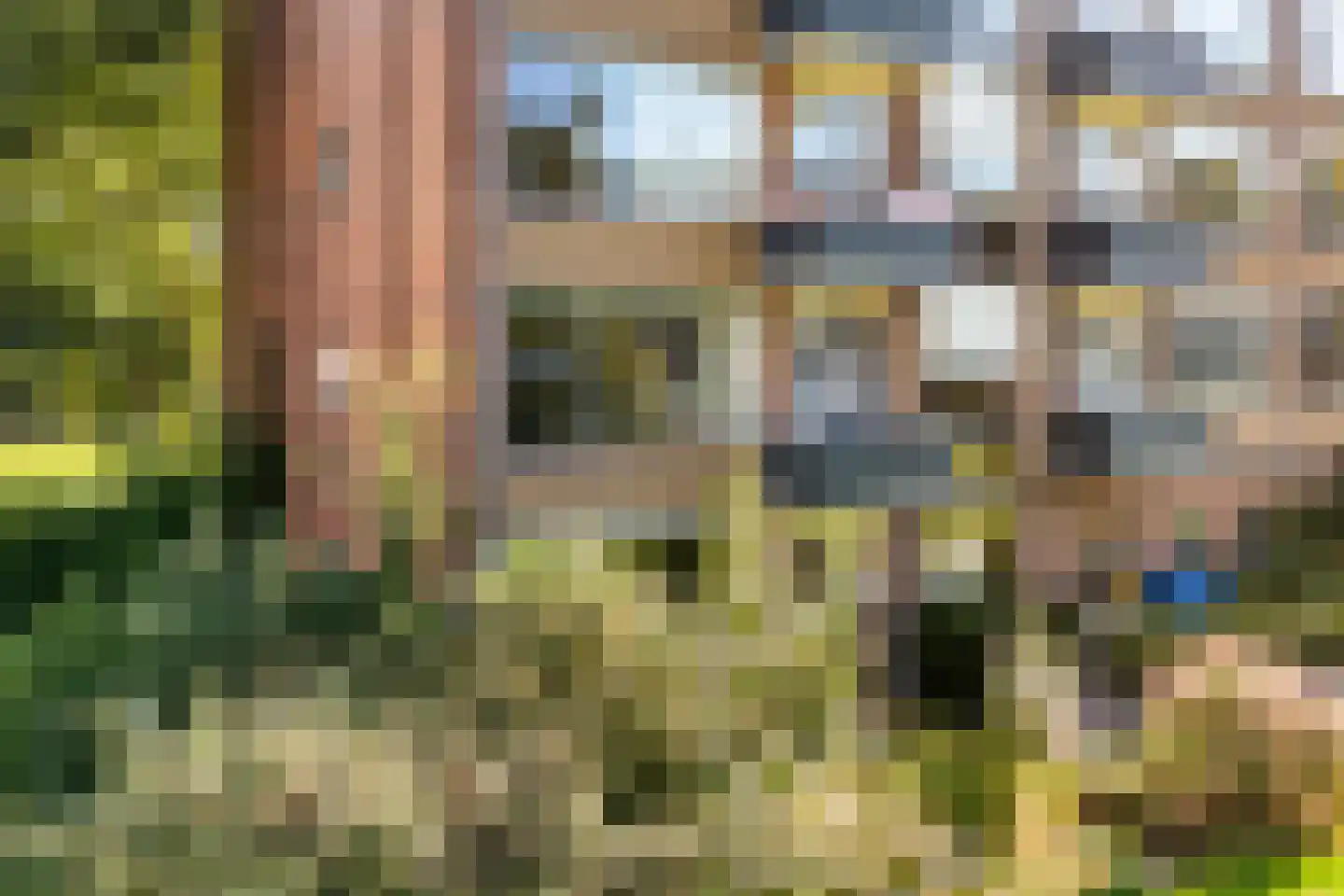 Schutkenstraat 51 Zwolle thumbnail 31