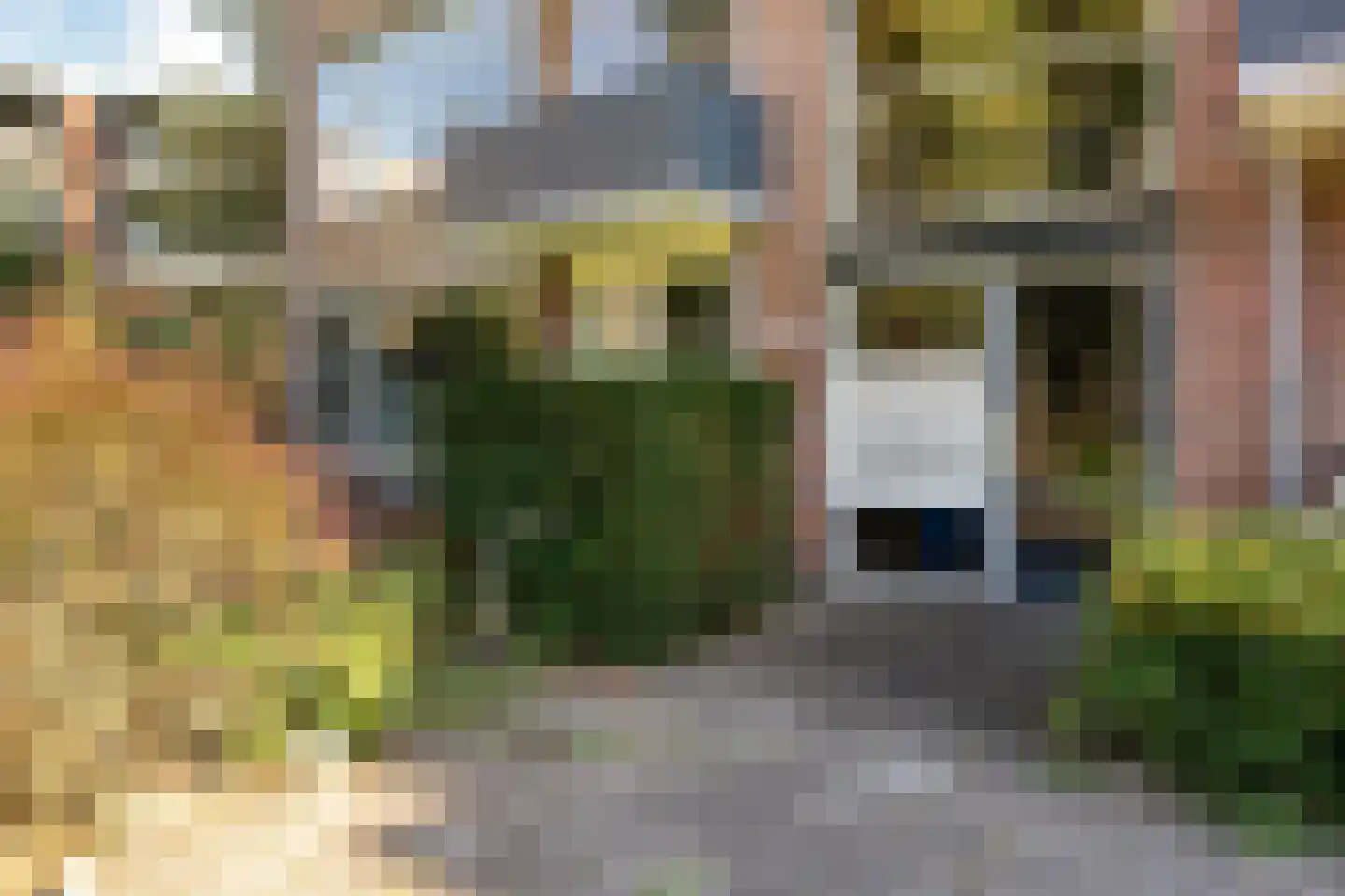 Schutkenstraat 51 Zwolle thumbnail 5
