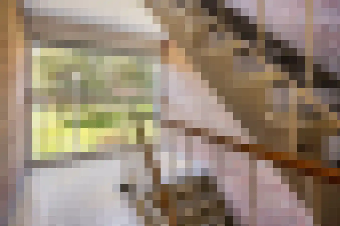 Schutkenstraat 51 Zwolle thumbnail 6