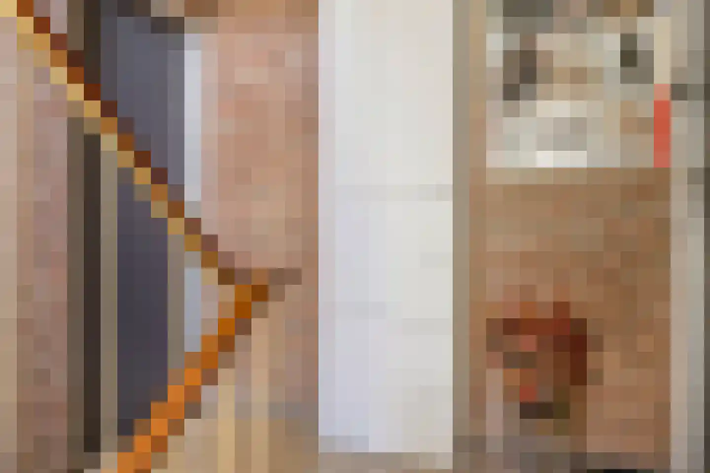 Schutkenstraat 51 Zwolle thumbnail 7