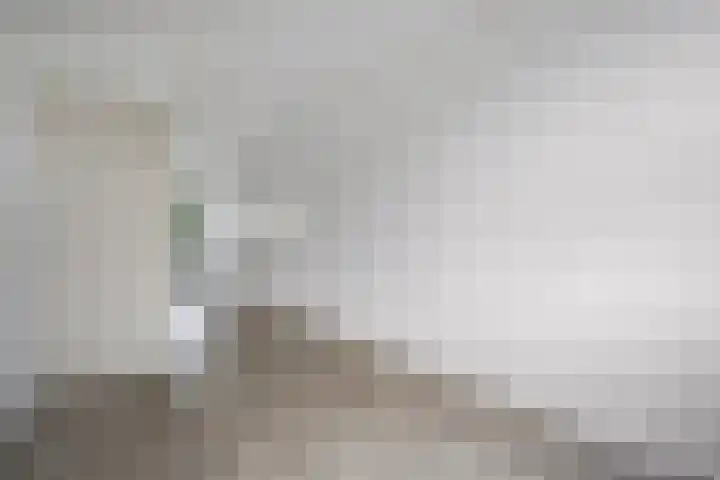 Schutkenstraat 6 Zwolle thumbnail 10