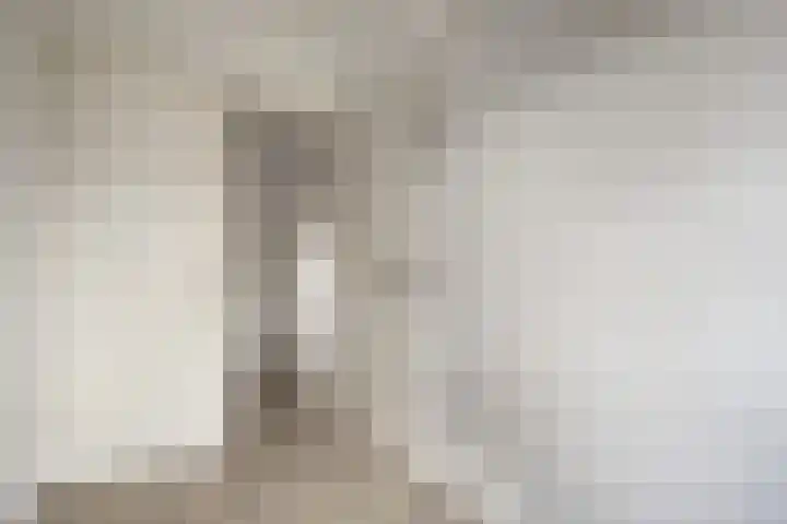 Schutkenstraat 6 Zwolle thumbnail 13