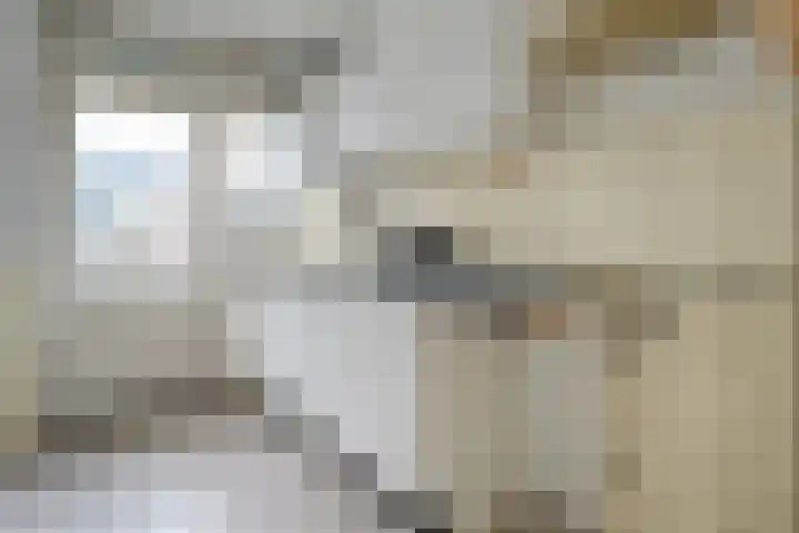 Schutkenstraat 6 Zwolle thumbnail 14