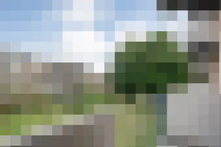 Schutkenstraat 6 Zwolle thumbnail 20