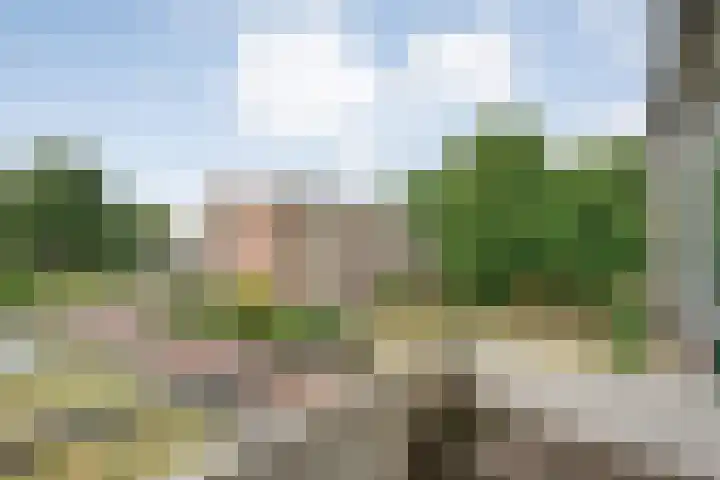 Schutkenstraat 6 Zwolle thumbnail 21