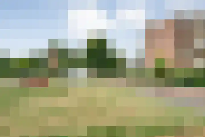 Schutkenstraat 6 Zwolle thumbnail 26
