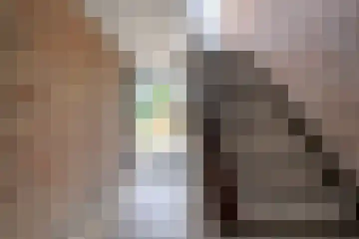 Schutkenstraat 6 Zwolle thumbnail 27