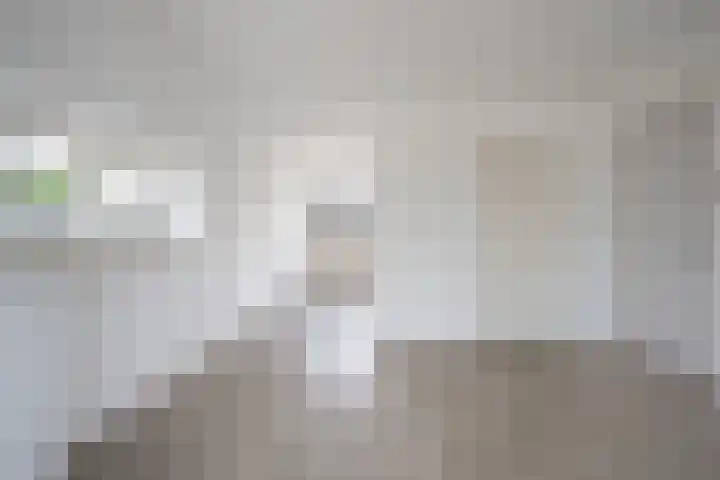 Schutkenstraat 6 Zwolle thumbnail 5