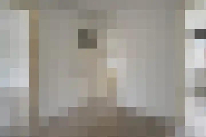 Schutkenstraat 6 Zwolle thumbnail 6