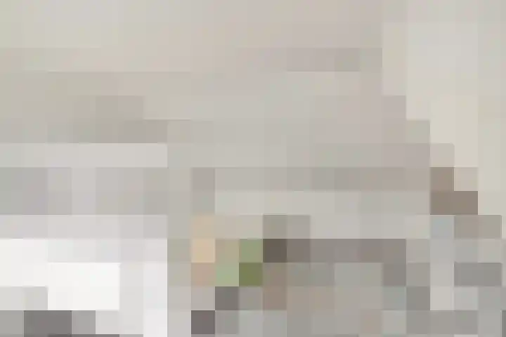 Schutlaan 6 Scherpenzeel thumbnail 15