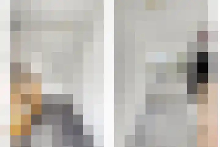 Schutlaan 6 Scherpenzeel thumbnail 17