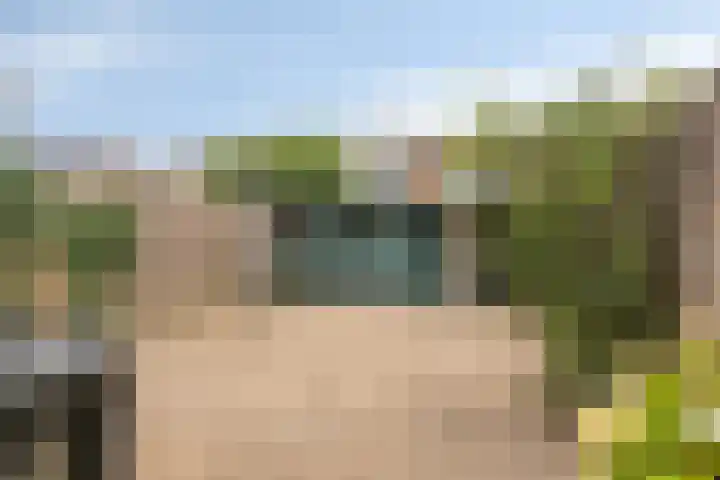Schutlaan 6 Scherpenzeel thumbnail 18