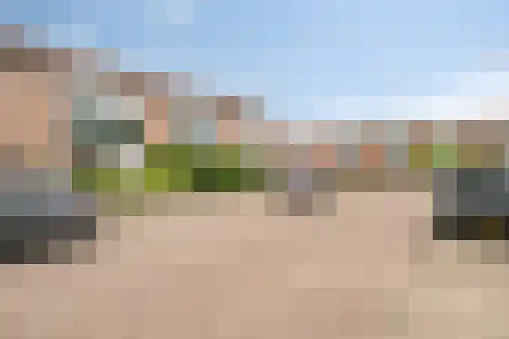 Schutlaan 6 Scherpenzeel thumbnail 20