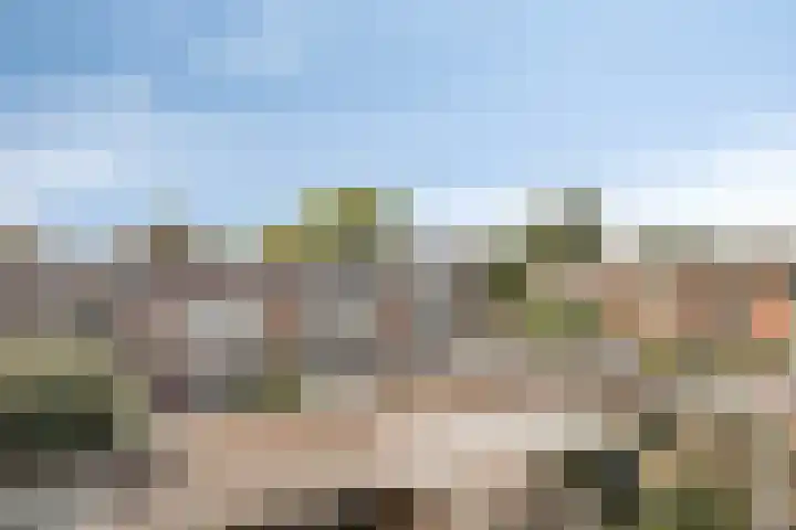 Schutlaan 6 Scherpenzeel thumbnail 23