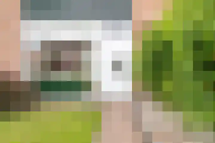 Schutlaan 6 Scherpenzeel thumbnail 24