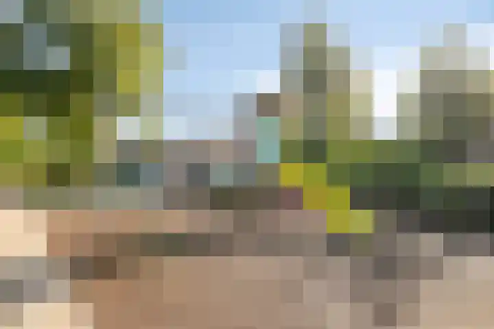 Schutlaan 6 Scherpenzeel thumbnail 25