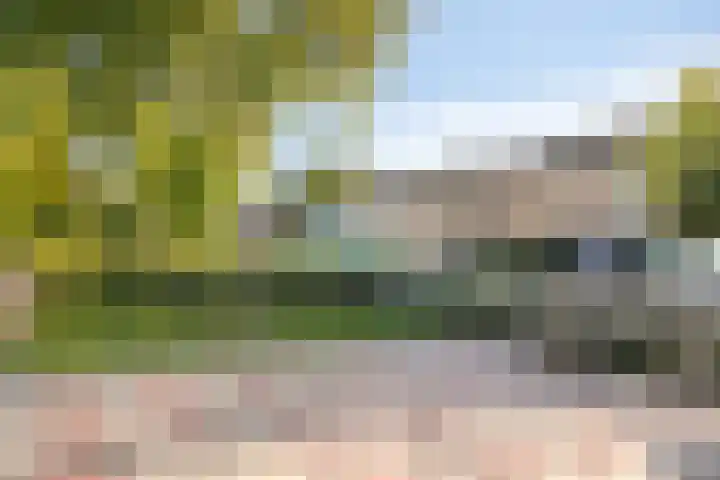 Schutlaan 6 Scherpenzeel thumbnail 26
