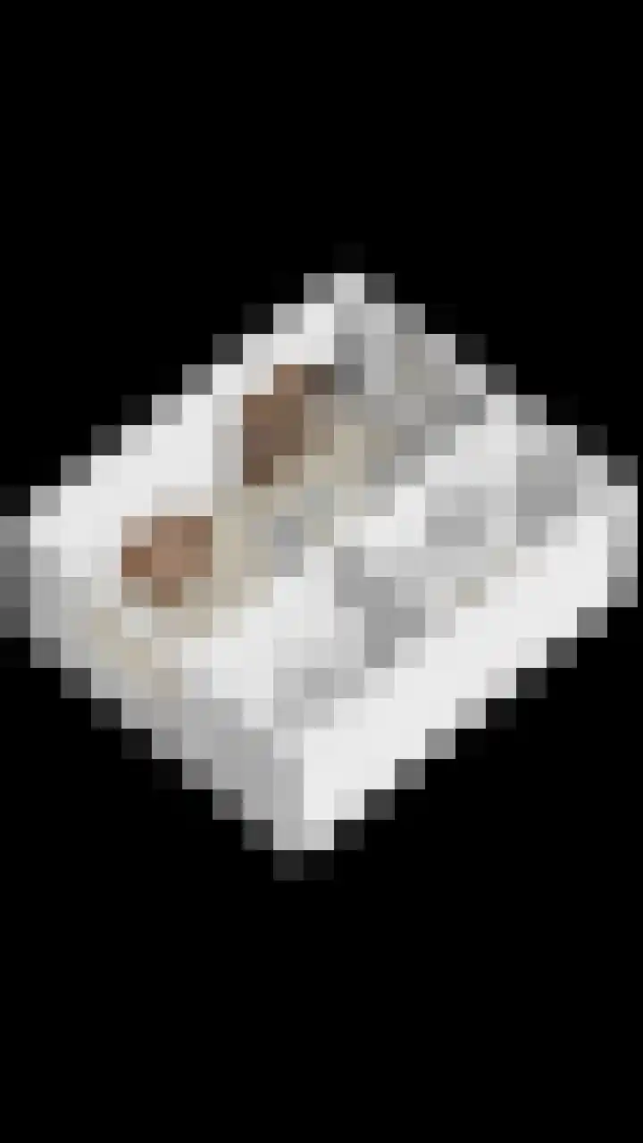 Schutlaan 6 Scherpenzeel thumbnail 32