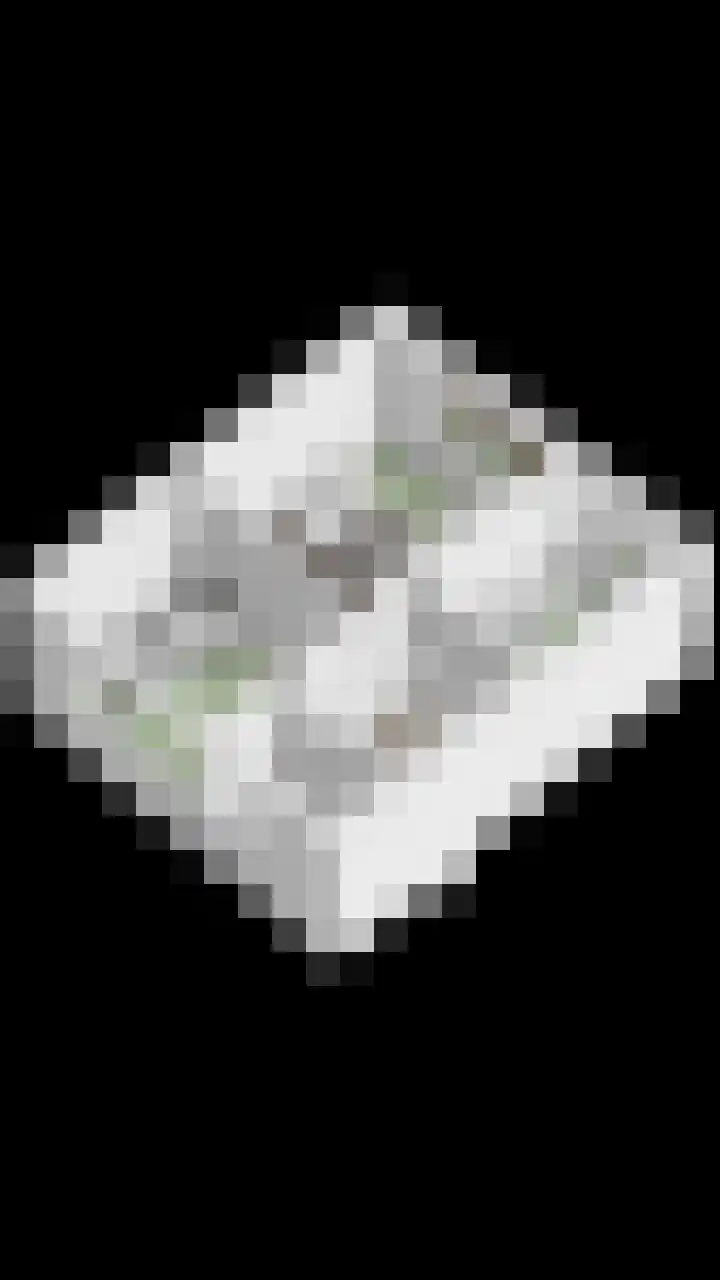 Schutlaan 6 Scherpenzeel thumbnail 33