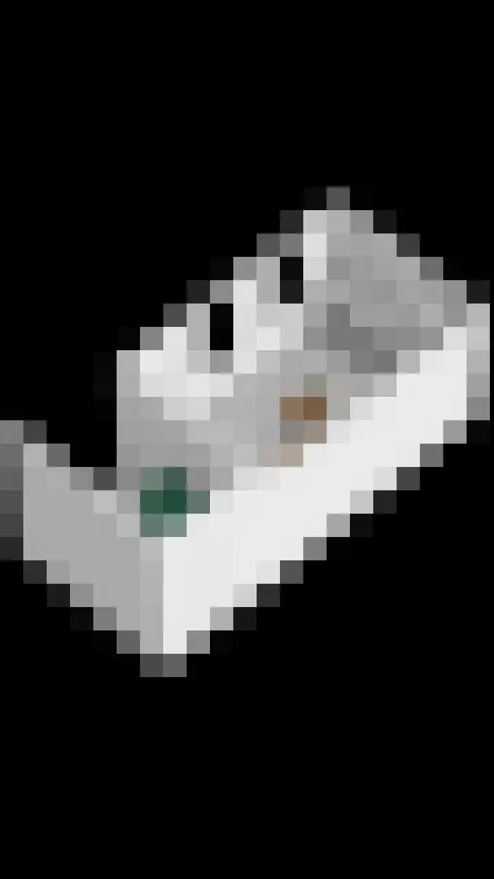 Schutlaan 6 Scherpenzeel thumbnail 35