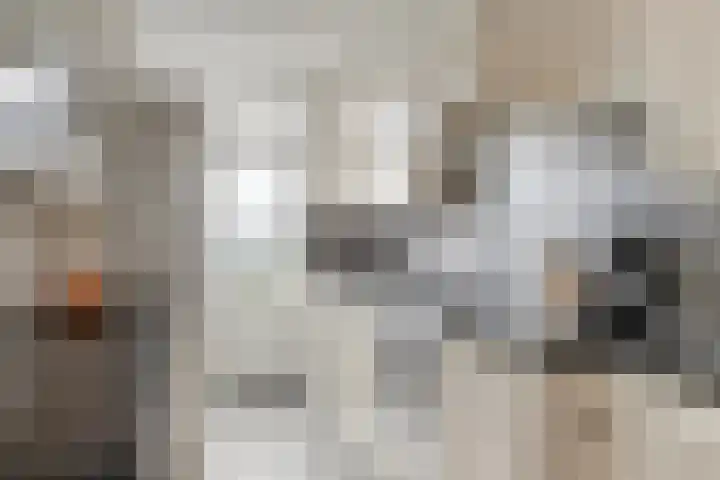 Schutlaan 6 Scherpenzeel thumbnail 4