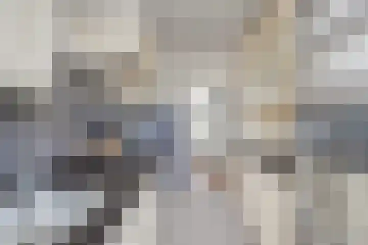 Schutlaan 6 Scherpenzeel thumbnail 5