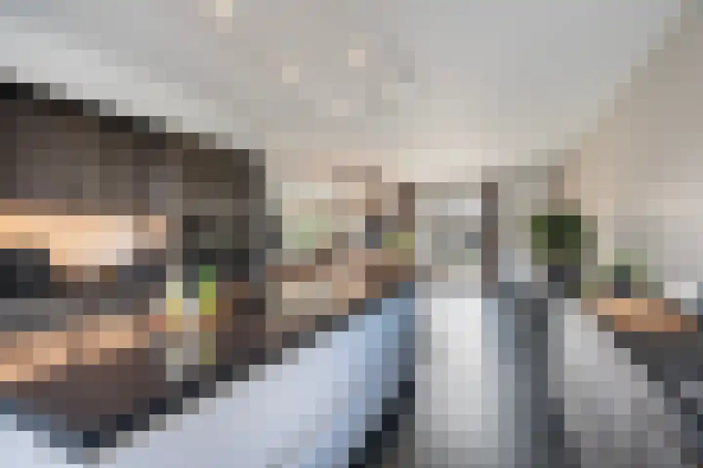Schutleede 30 Barendrecht thumbnail 22