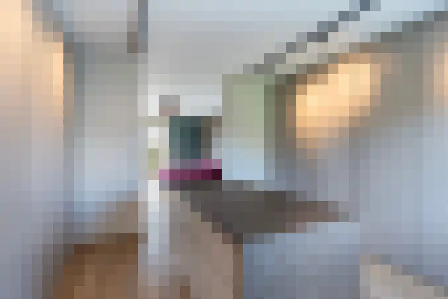 Schutleede 30 Barendrecht thumbnail 36