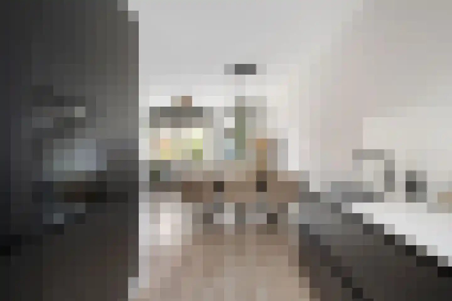 Schutleede 41 Barendrecht thumbnail 17