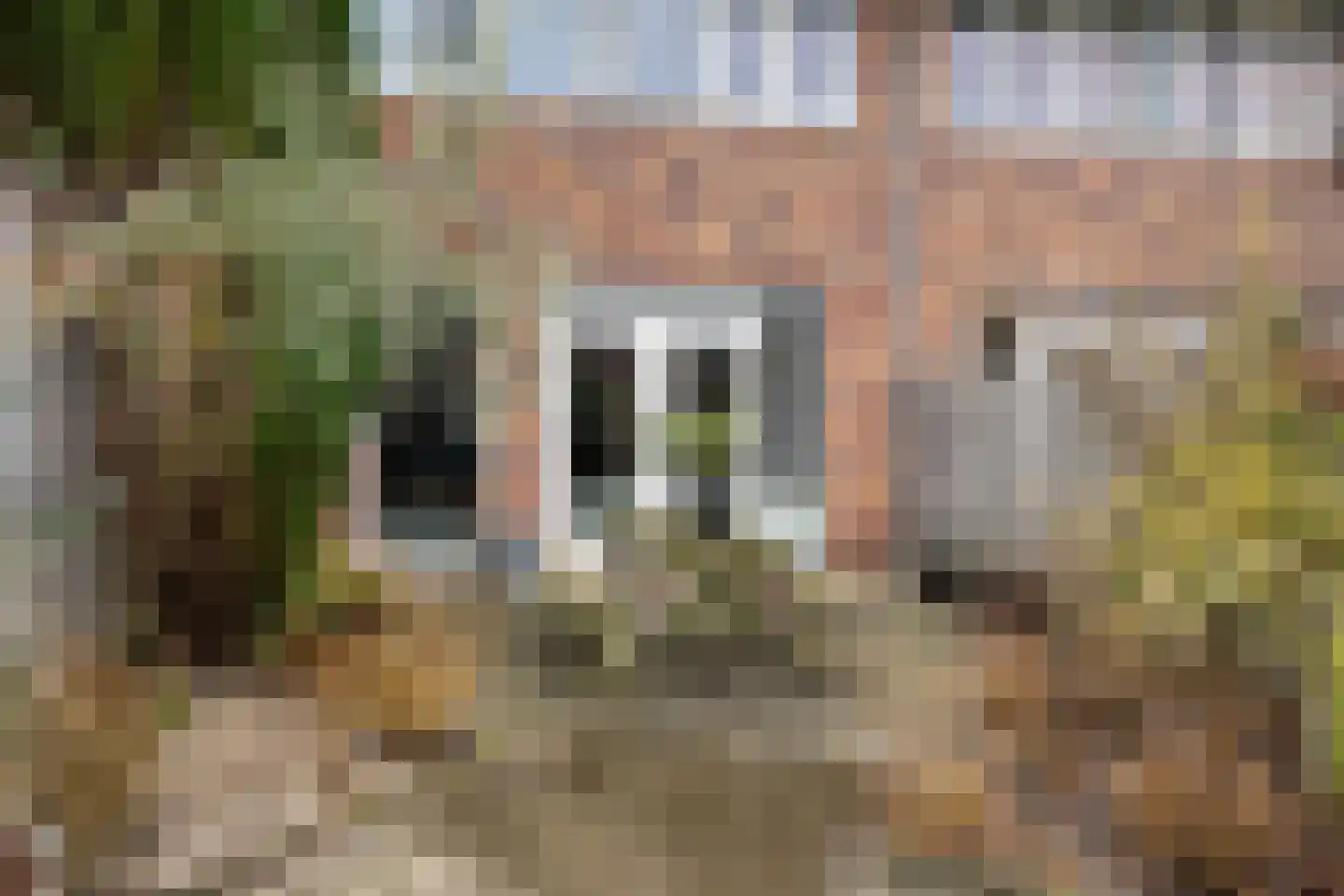 Schutleede 41 Barendrecht thumbnail 35