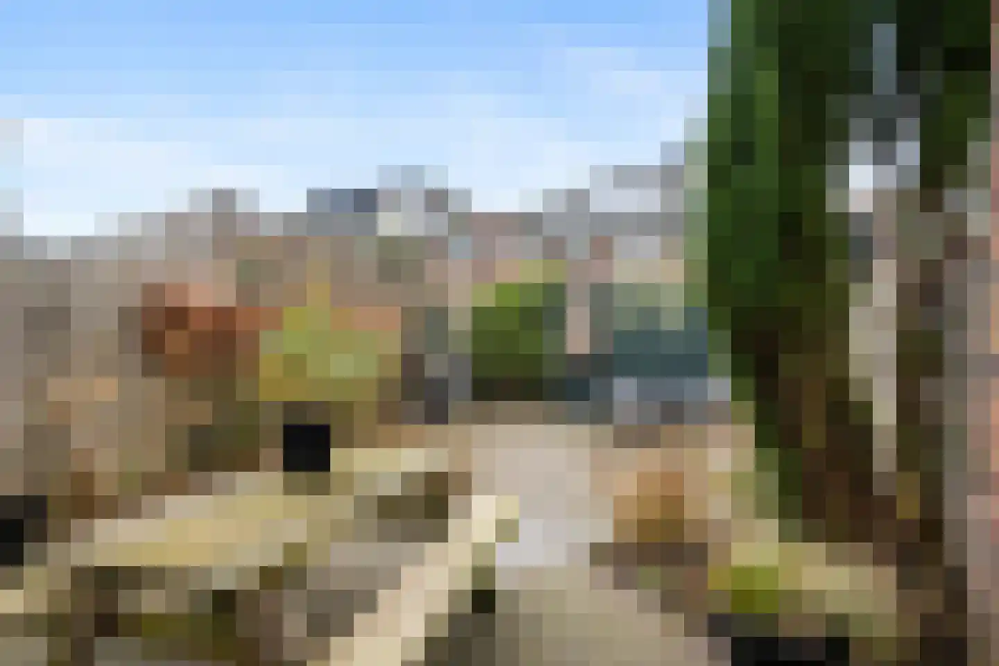Schutleede 41 Barendrecht thumbnail 4