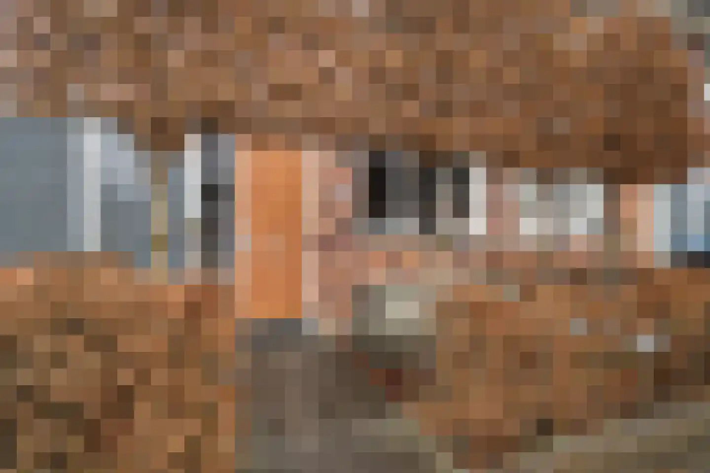 Schutleede 41 Barendrecht thumbnail 6