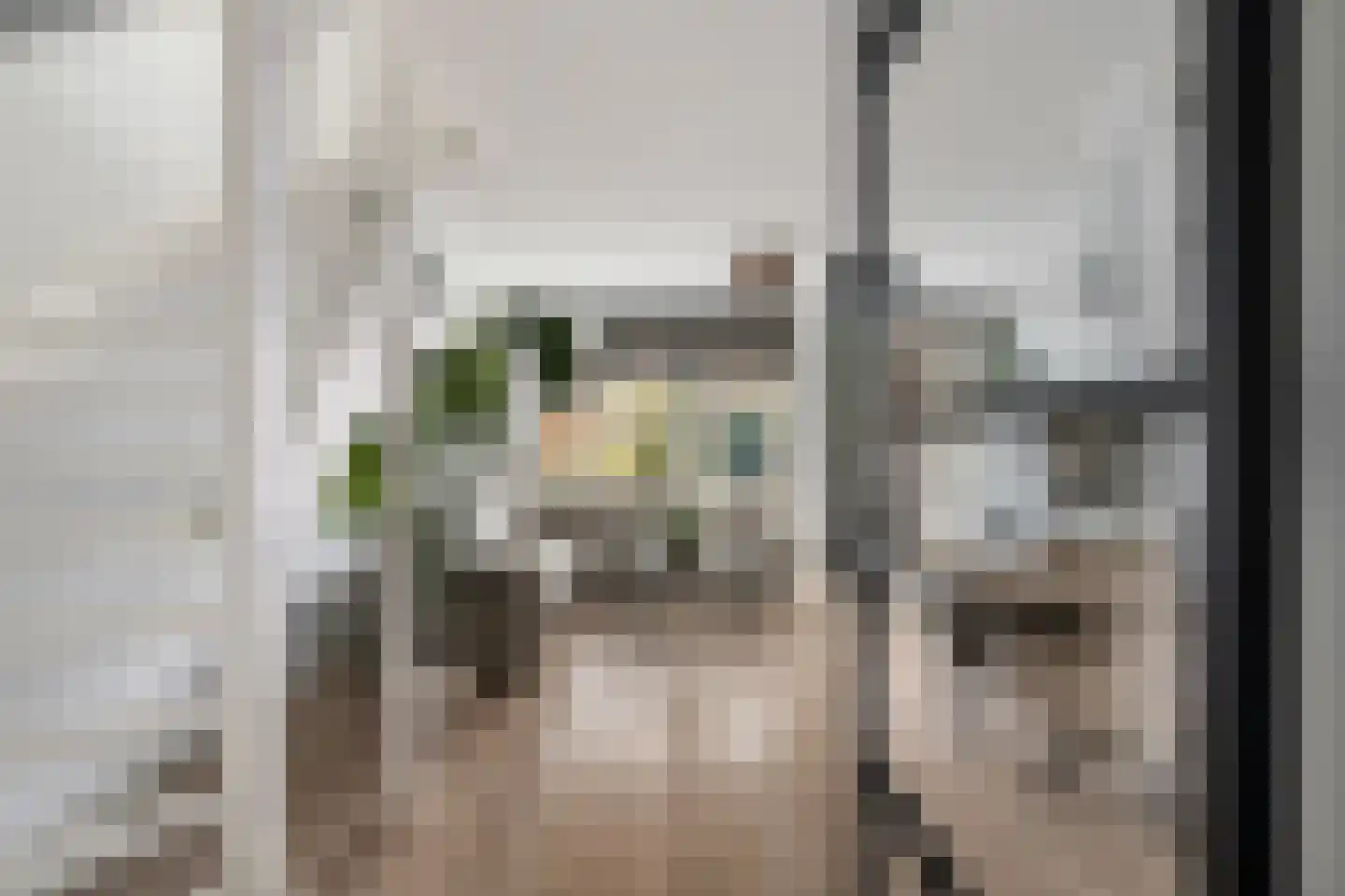 Schutleede 41 Barendrecht thumbnail 8
