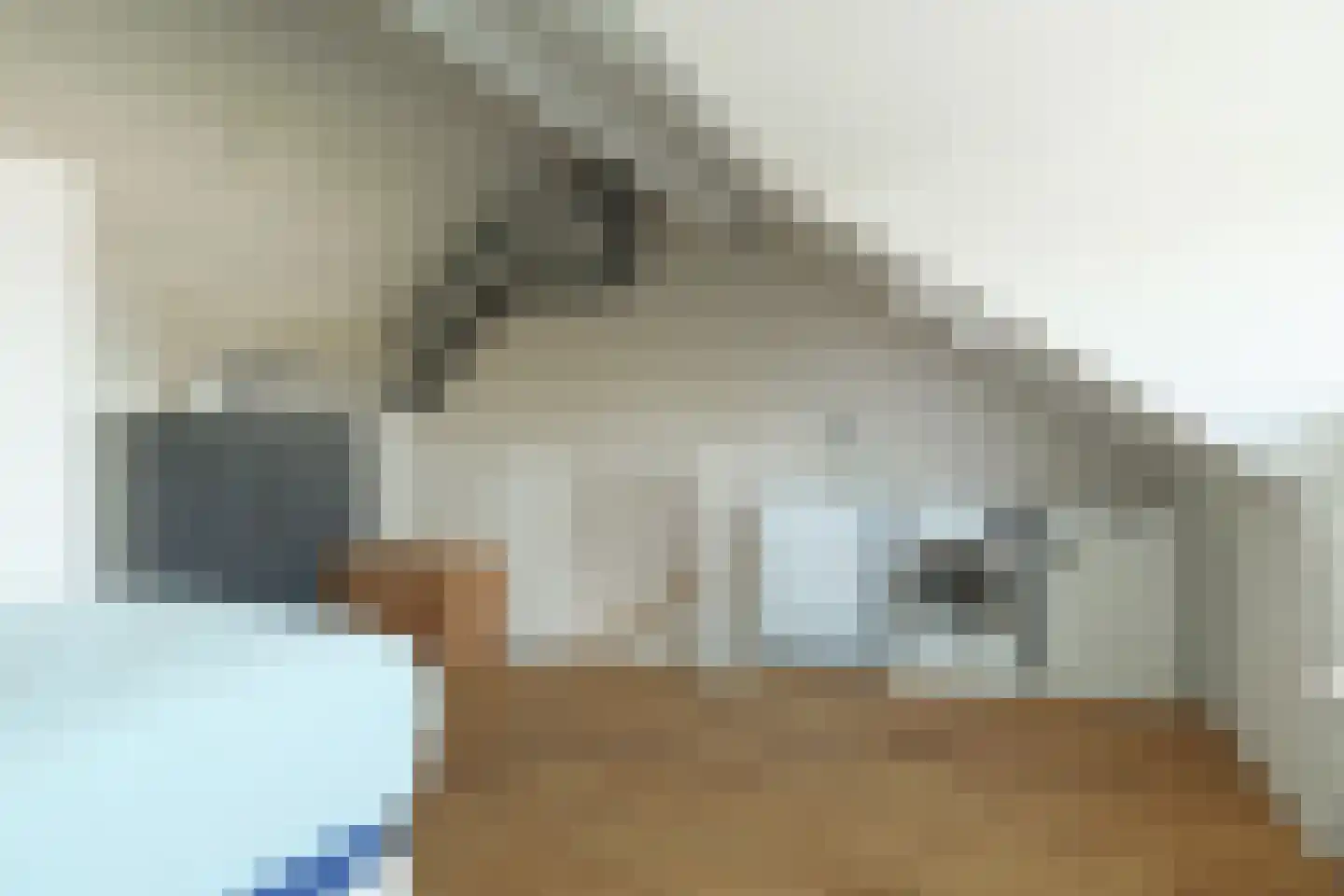 Schutleede 9 Barendrecht thumbnail 29