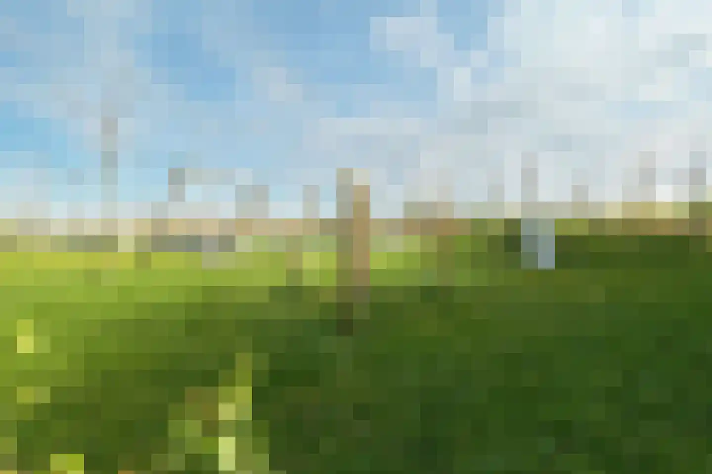 Schutleede 9 Barendrecht thumbnail 36