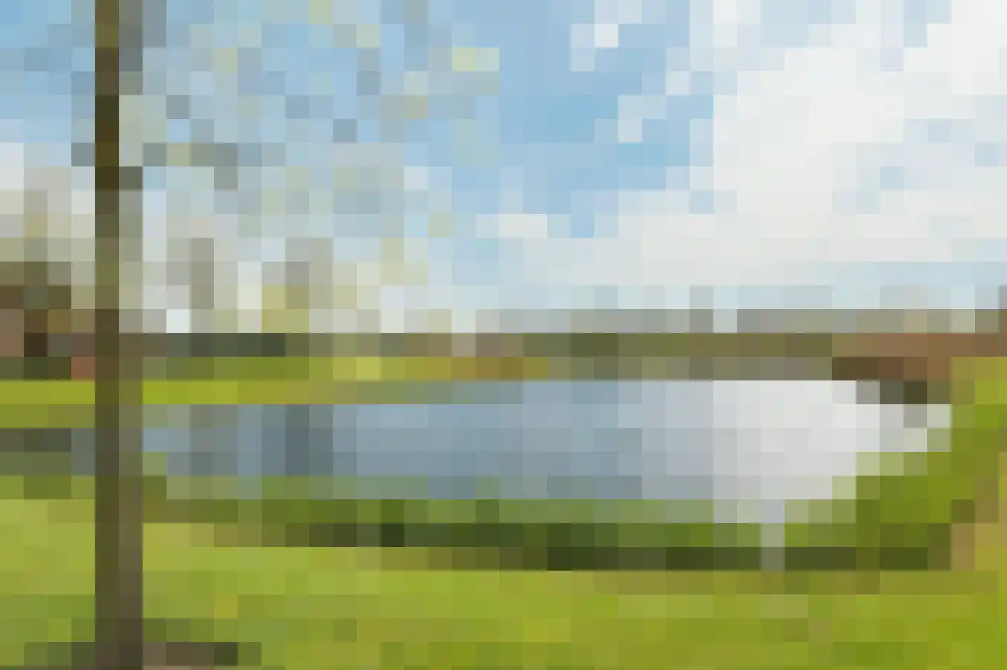 Schutleede 9 Barendrecht thumbnail 5