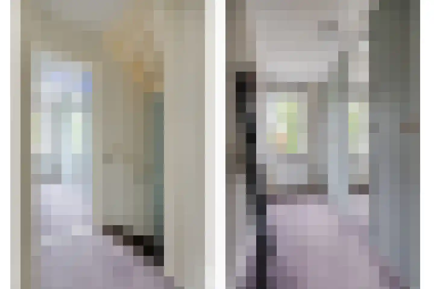 Schutsboom 1 Geldrop thumbnail 10