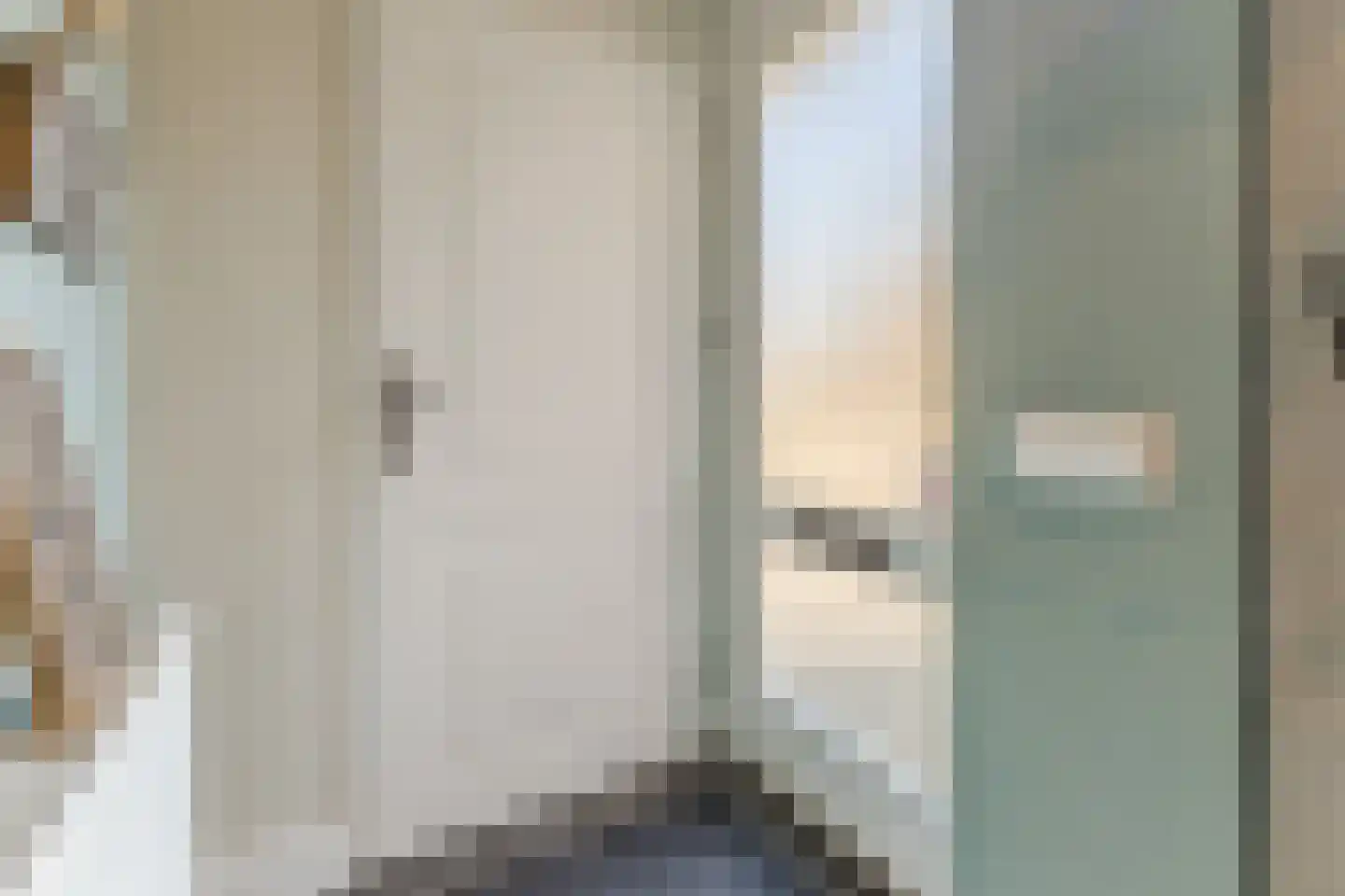 Schutsboom 1 Geldrop thumbnail 10