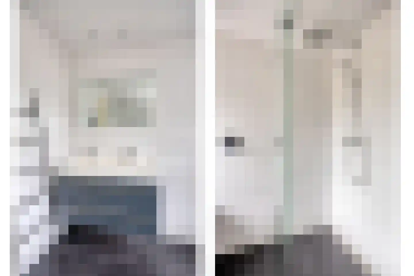 Schutsboom 1 Geldrop thumbnail 11