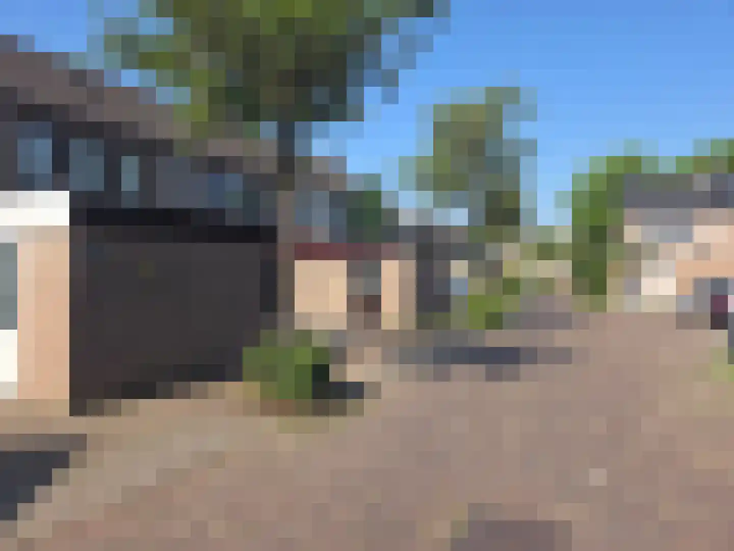 Schutsboom 1 Geldrop thumbnail 11