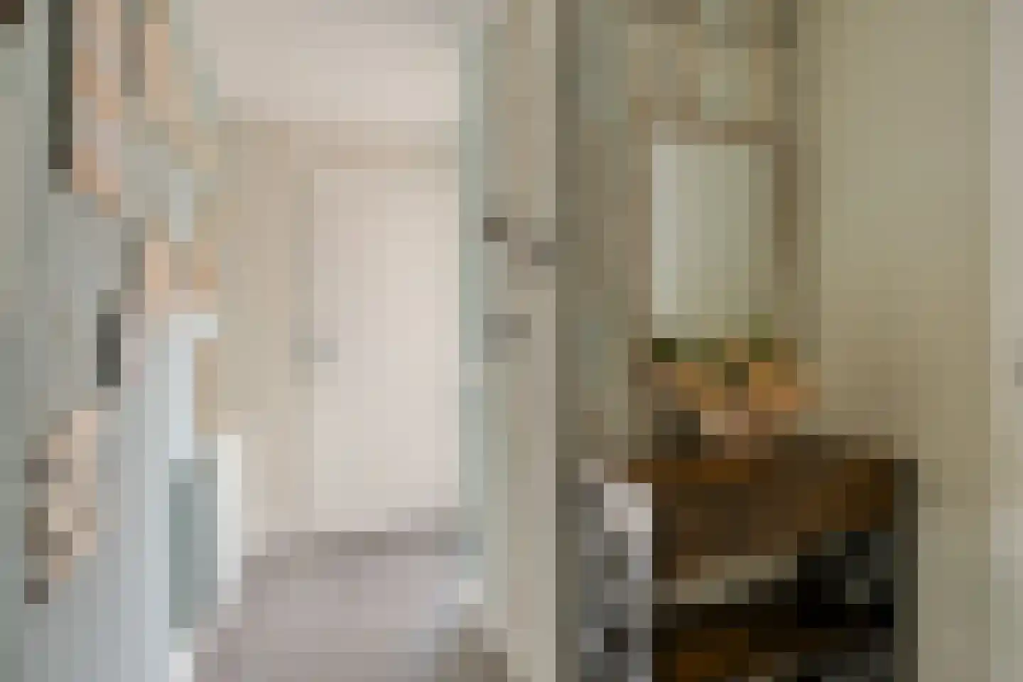 Schutsboom 1 Geldrop thumbnail 12