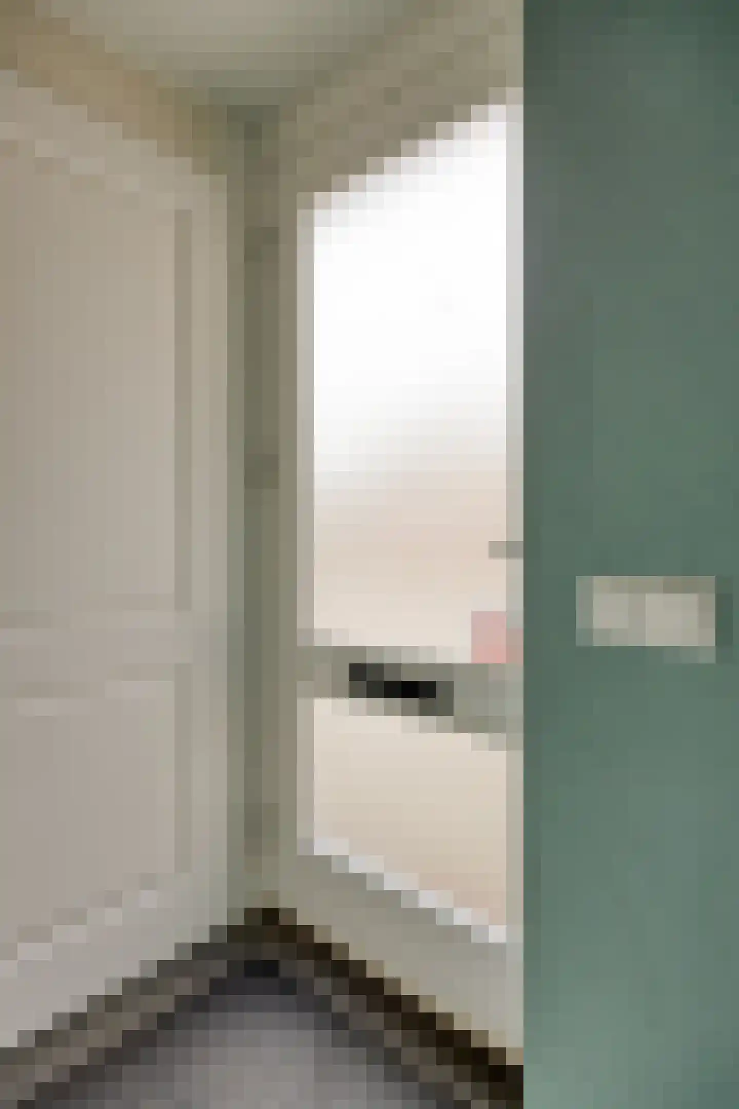 Schutsboom 1 Geldrop thumbnail 13
