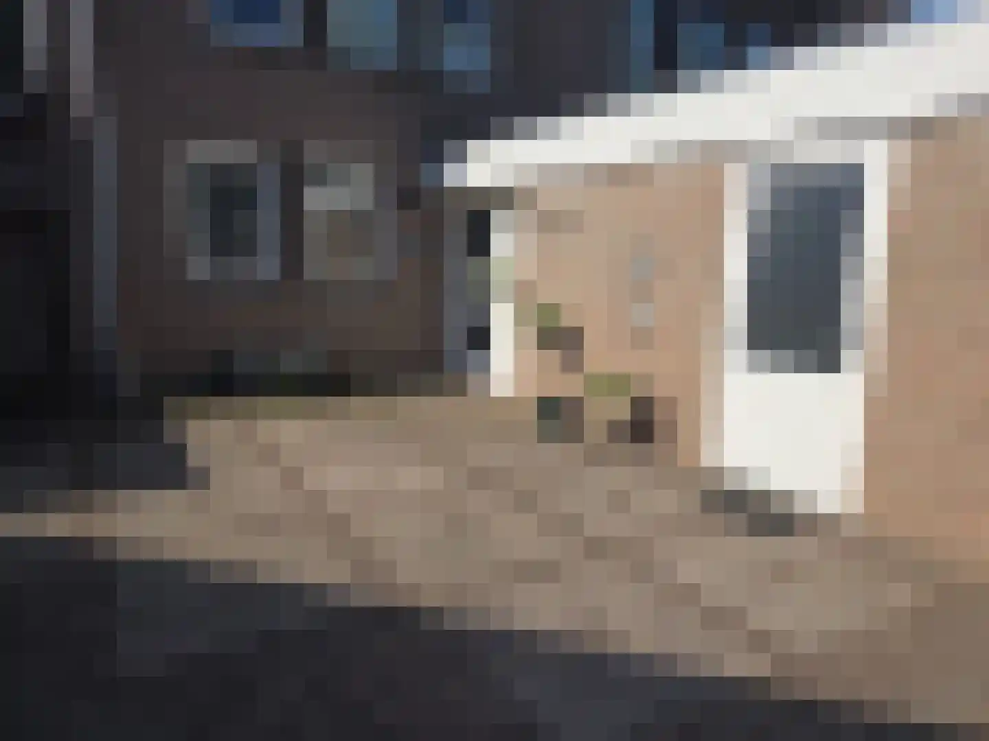 Schutsboom 1 Geldrop thumbnail 13