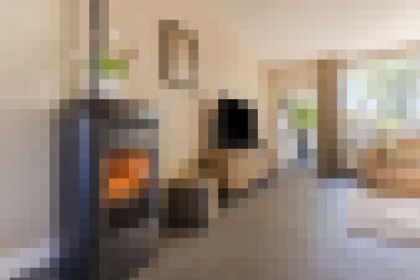 Schutsboom 1 Geldrop thumbnail 14