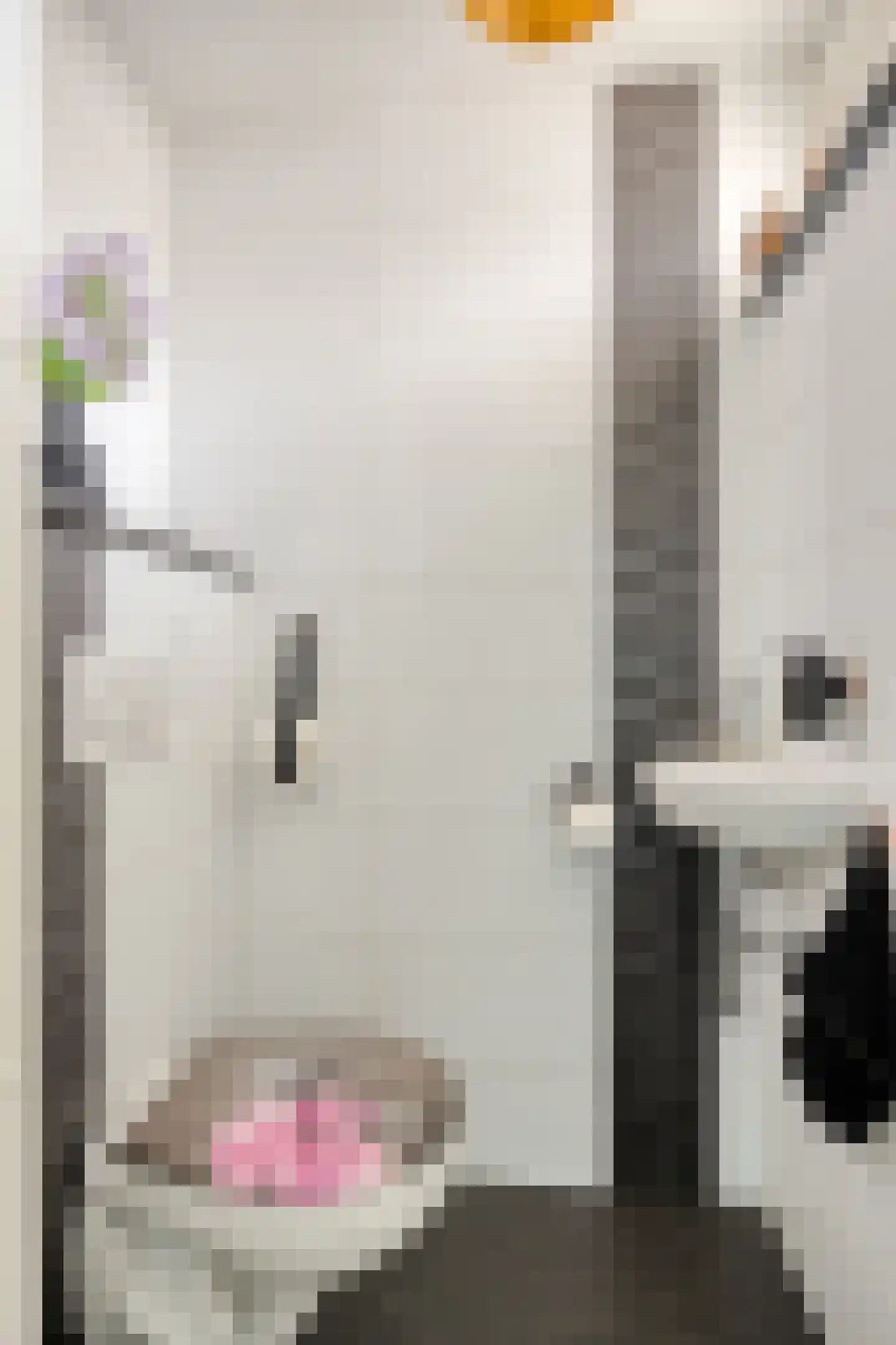 Schutsboom 1 Geldrop thumbnail 14