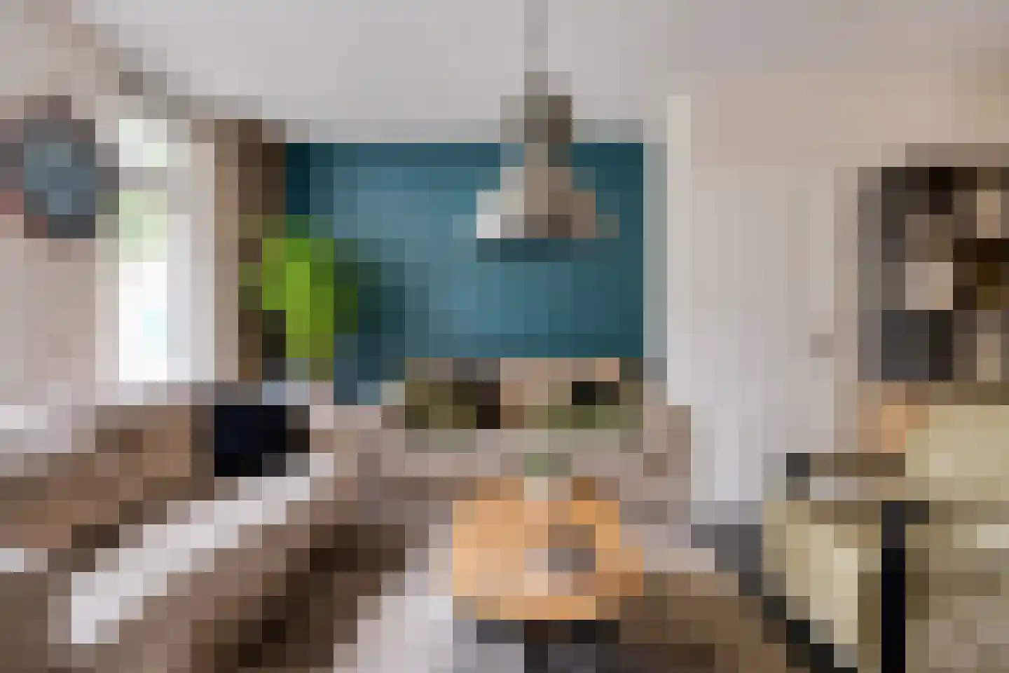 Schutsboom 1 Geldrop thumbnail 16