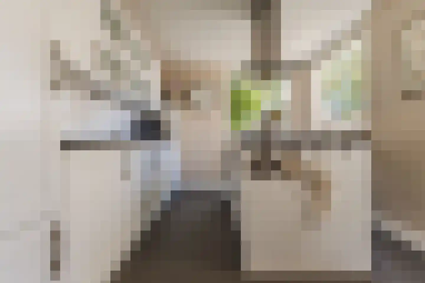 Schutsboom 1 Geldrop thumbnail 16