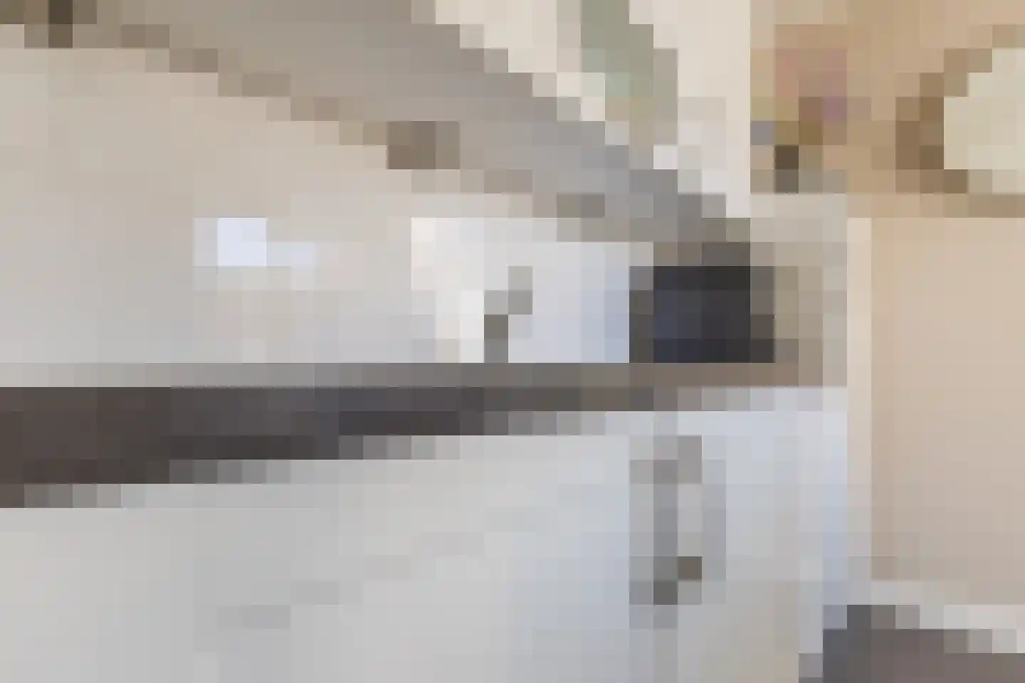 Schutsboom 1 Geldrop thumbnail 17